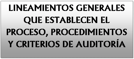 Cuadro de texto: LINEAMIENTOS GENERALES QUE ESTABLECEN EL PROCESO, PROCEDIMIENTOS Y CRITERIOS DE AUDITORÍA
